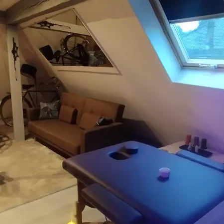 Appartement Loveroom Theme Cinema